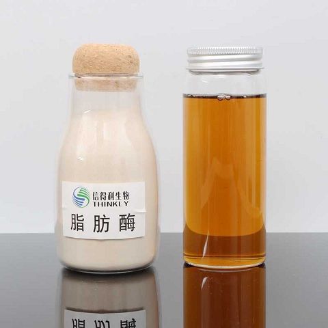 脂肪酶，你用對了嗎？